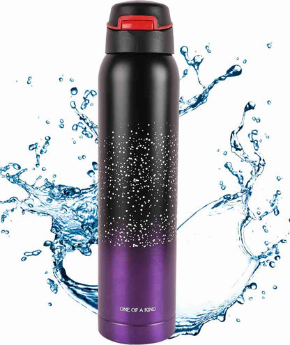 Hot & Cold Stainless Steel Water Bottle | 500ml | Dual Cap, Leak-Proof, with Straw & Carry Strap